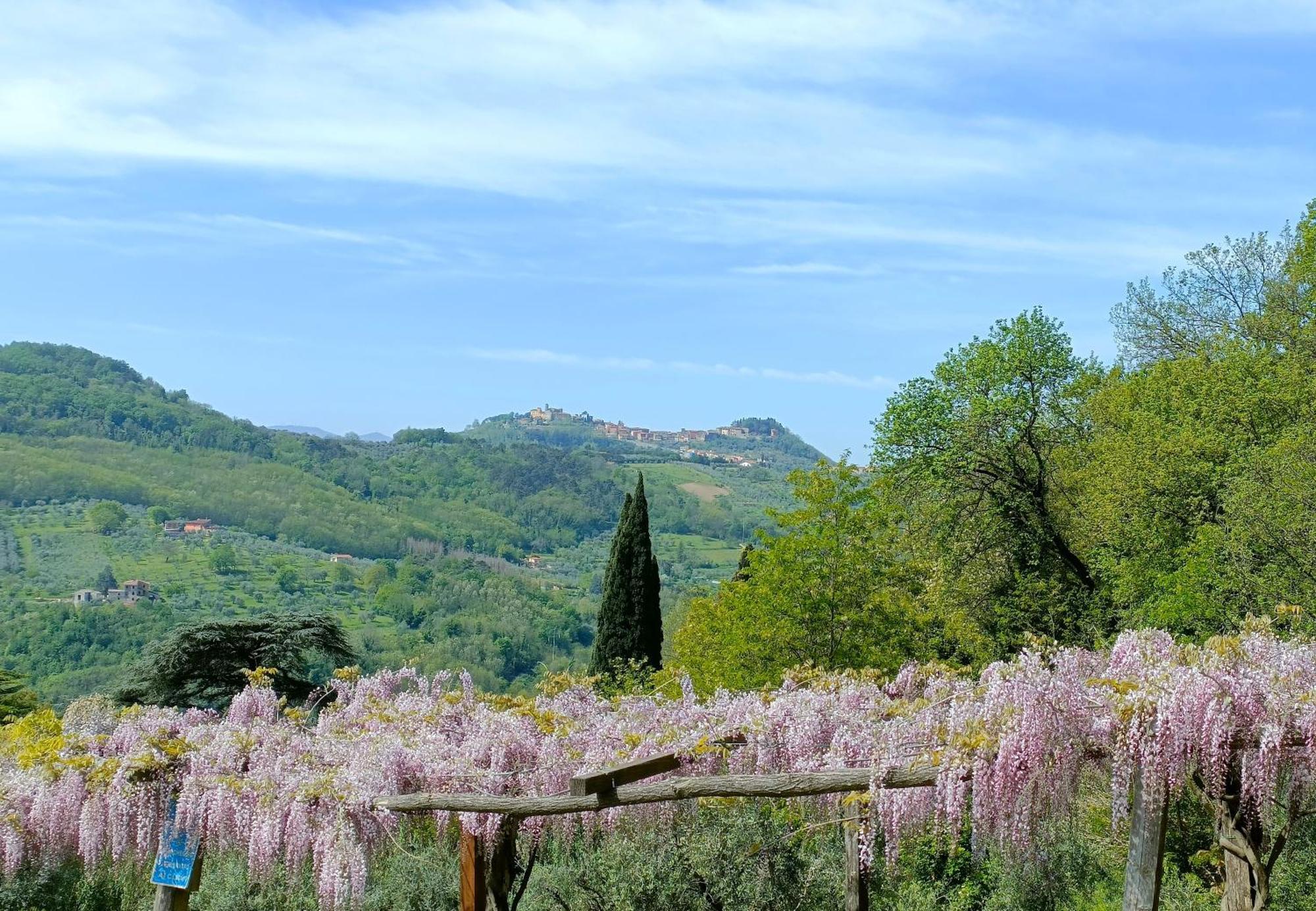Agriturismo I Pitti Serravalle Pistoiese Экстерьер фото